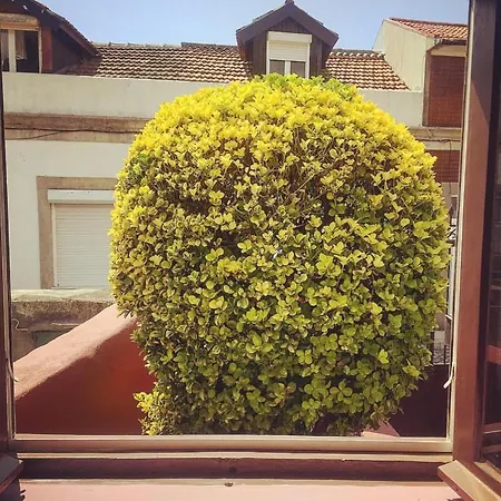 Arrábida House Сasa de vacaciones