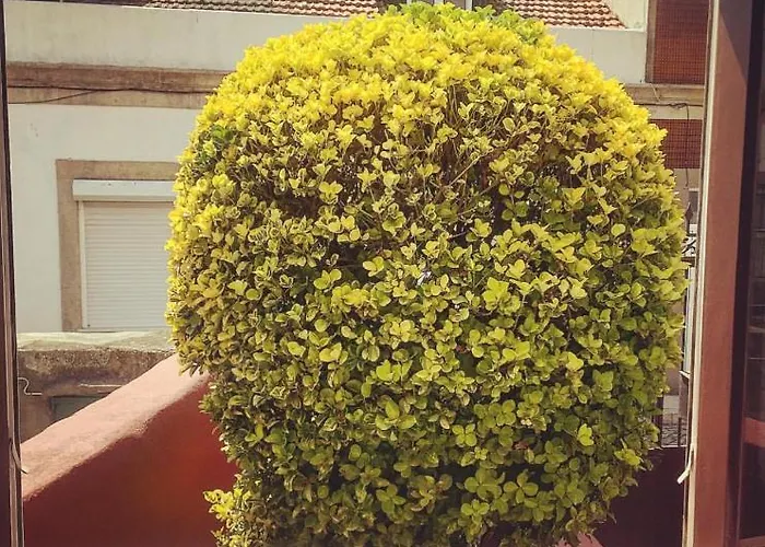 Arrábida House Casa de Férias